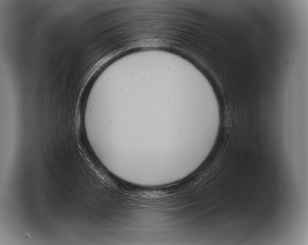 X0000103320837200810060953