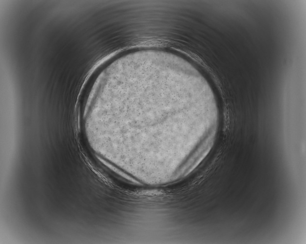X0000103320838200810060953