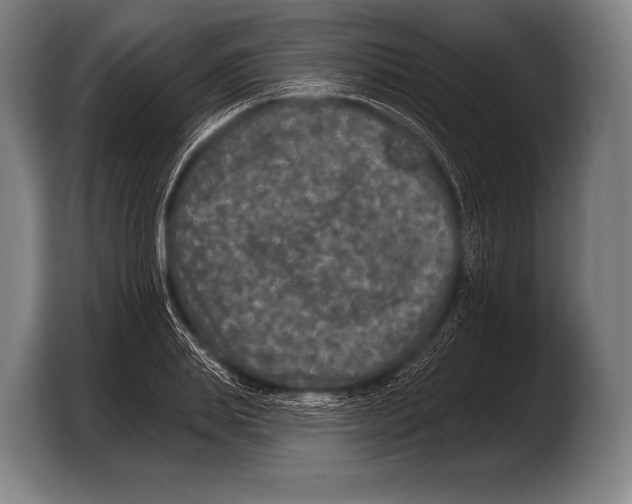 X0000103320839200810060953