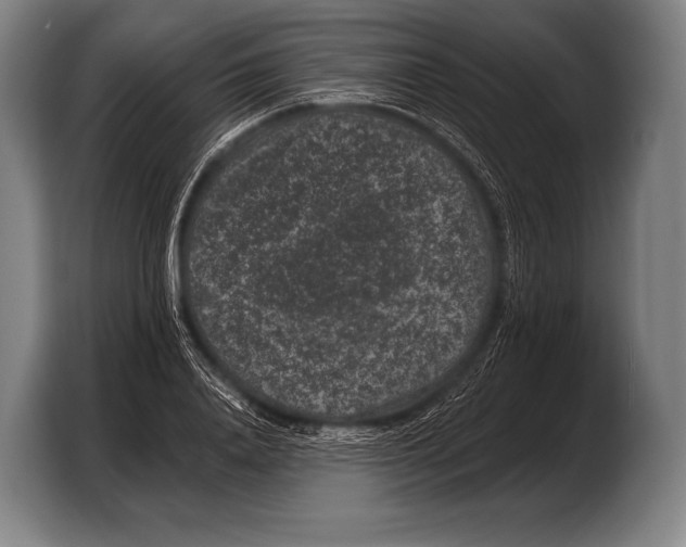 X0000103320840200810060953