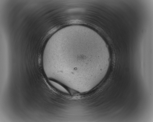 X0000103320841200810060953