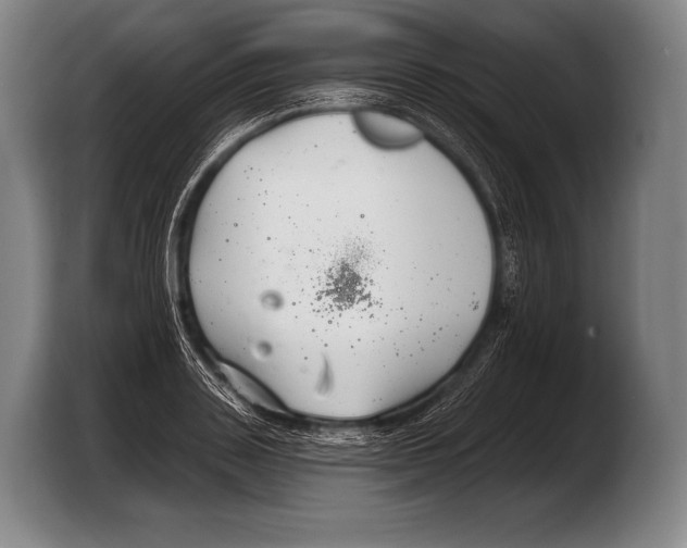 X0000103320843200810060953