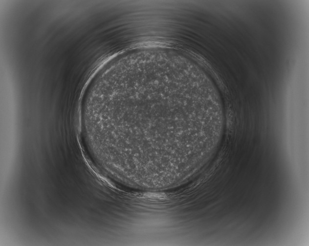 X0000103320844200810060953