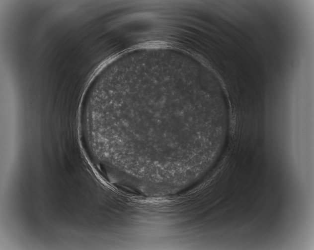 X0000103320845200810060953