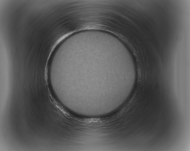 X0000103320846200810060953