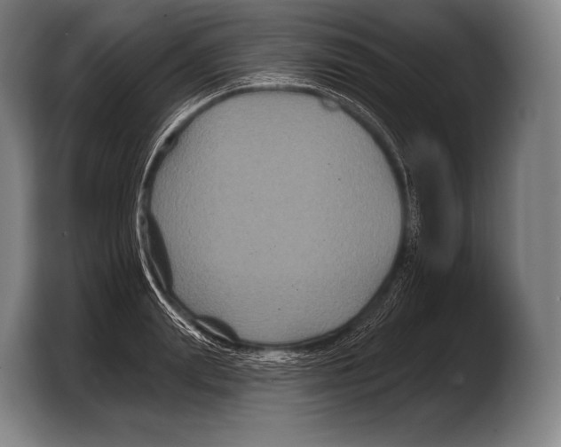 X0000103320847200810060953
