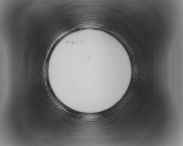 X0000103320848200810060953