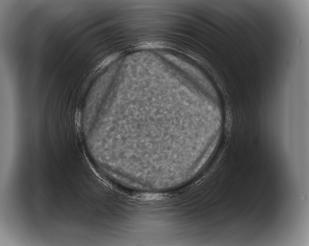 X0000103320849200810060953