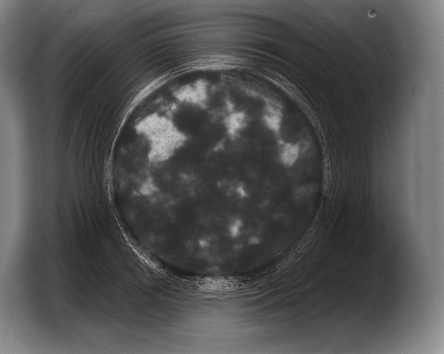 X0000103320850200810060953