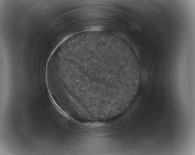 X0000103320851200810060953