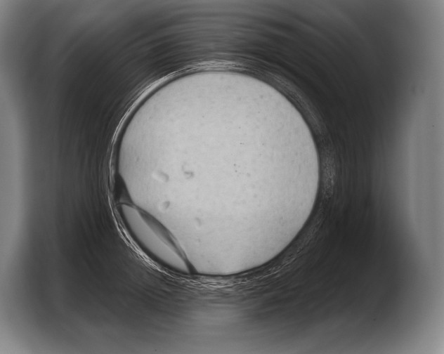 X0000103320852200810060953