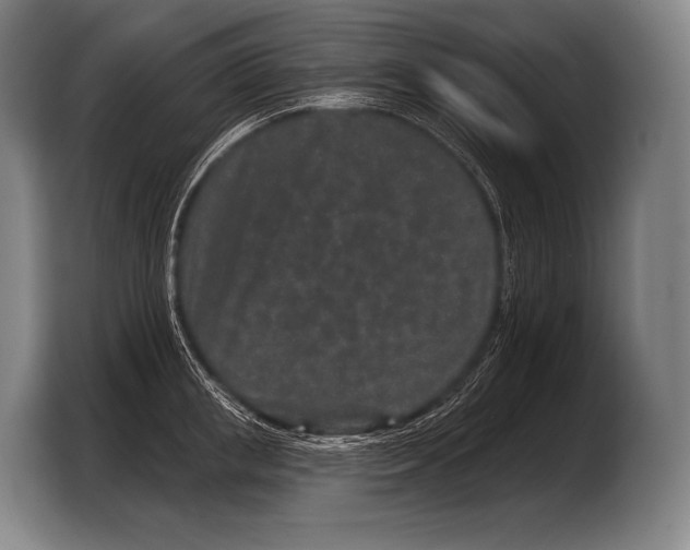 X0000103320853200810060953