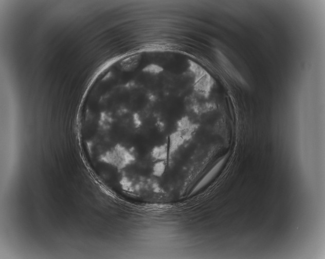 X0000103320854200810060953