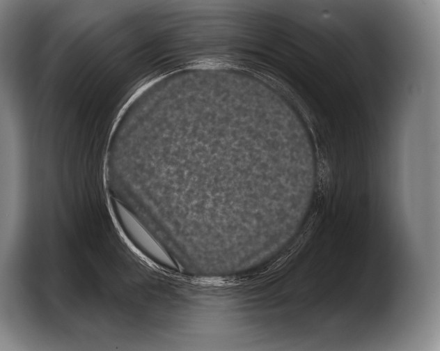 X0000103320855200810060953