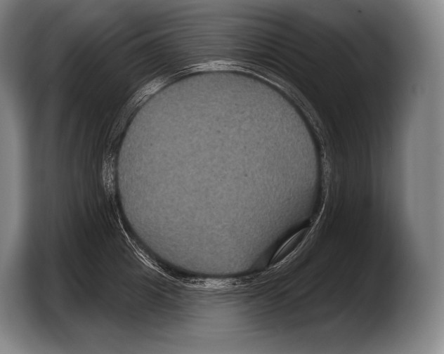 X0000103320857200810060953