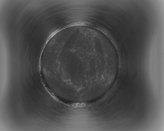 X0000103320858200810060953