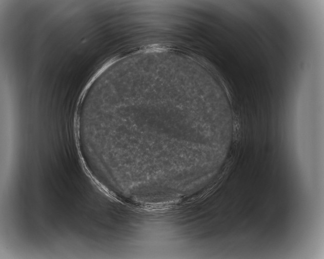 X0000103320859200810060953