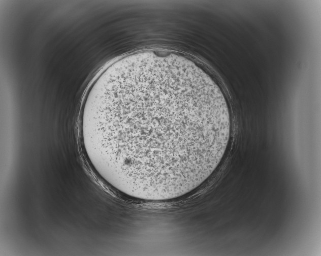 X0000103320860200810060953