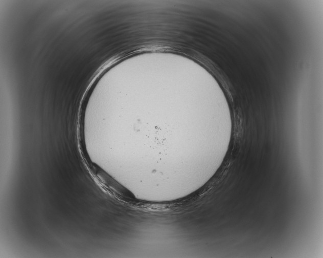 X0000103320861200810060953