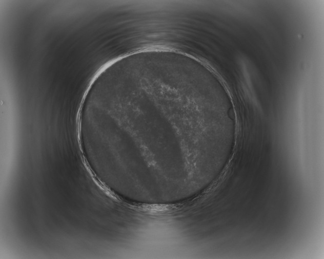 X0000103320862200810060953