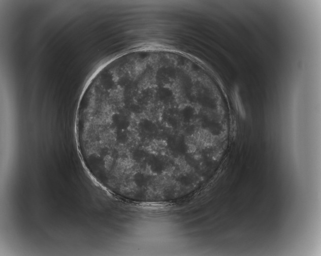 X0000103320863200810060953