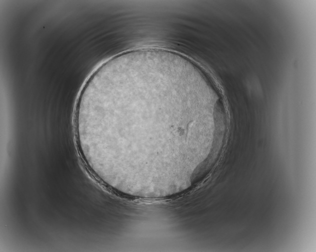 X0000103320864200810060953