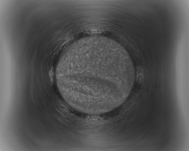 X0000103320866200810060953