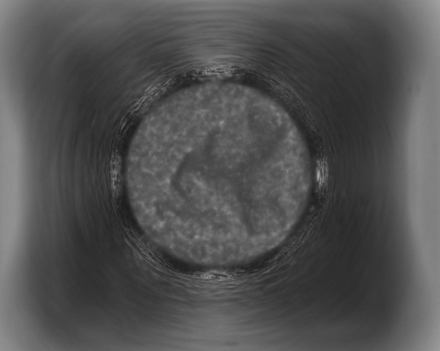 X0000103320867200810060953