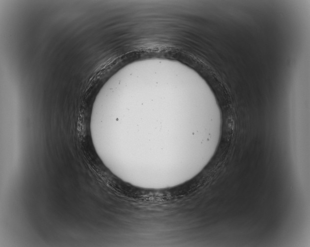 X0000103320869200810060953