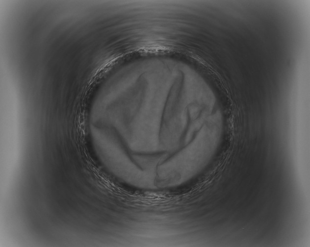 X0000103320870200810060953