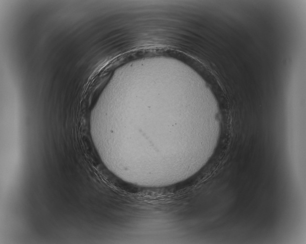 X0000103320871200810060952