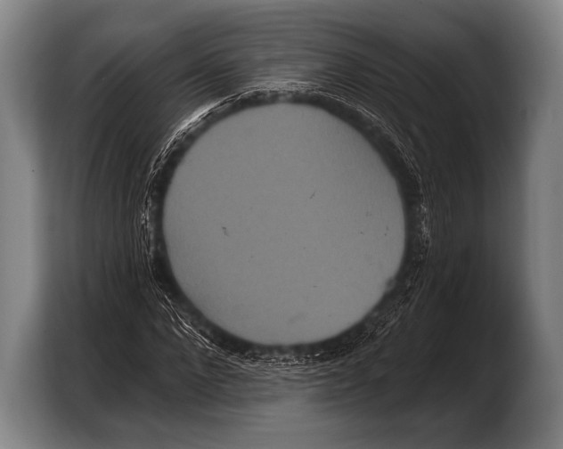 X0000103320872200810060952