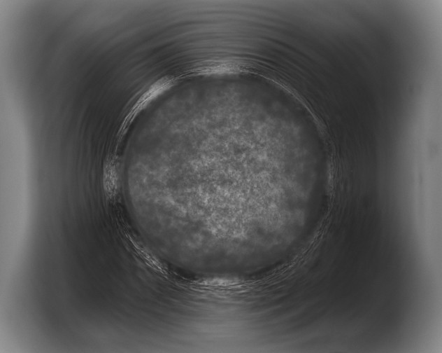 X0000103320874200810060952