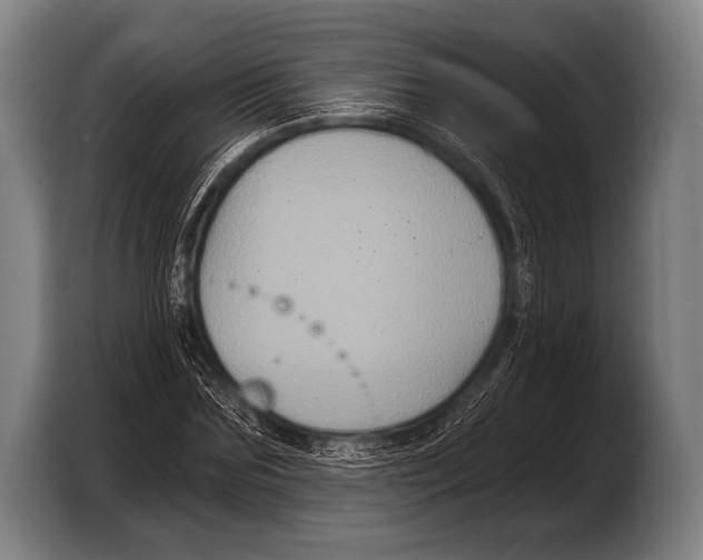 X0000103320875200810060952