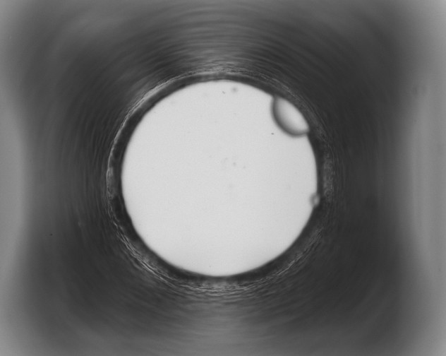 X0000103320876200810060952