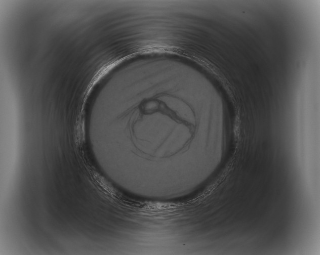 X0000103320877200810060952