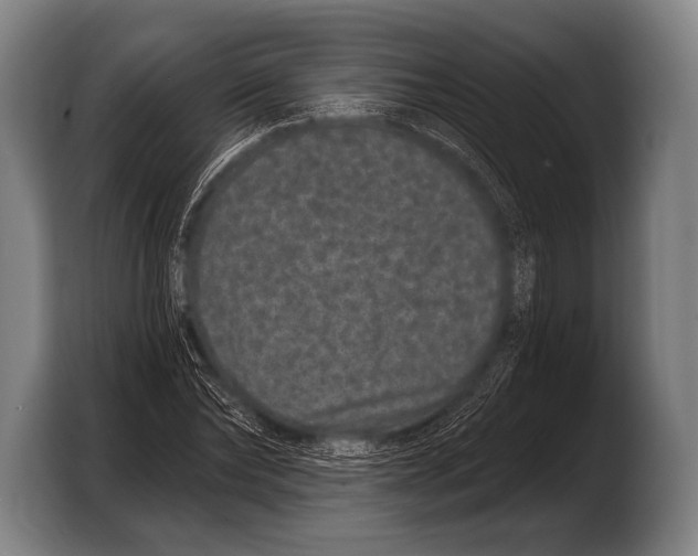 X0000103320878200810060952