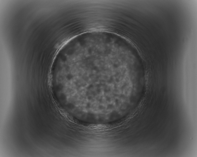 X0000103320879200810060952