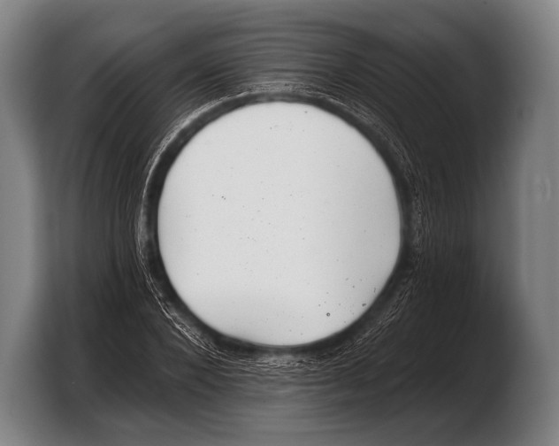 X0000103320880200810060952