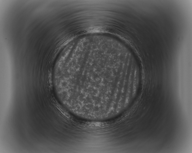 X0000103320881200810060952