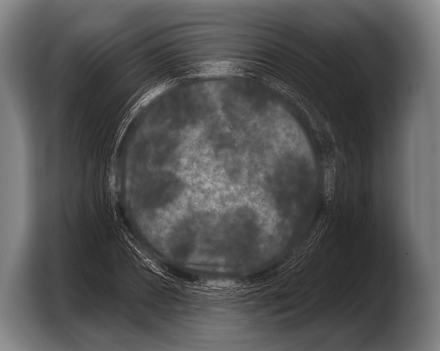 X0000103320882200810060952