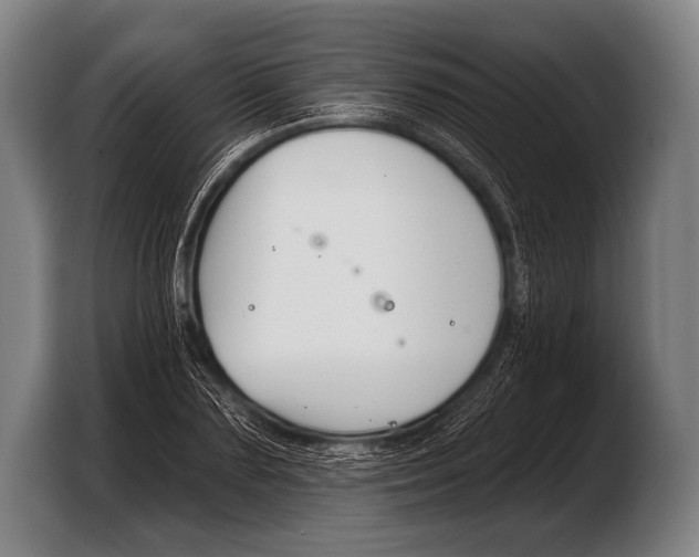 X0000103320883200810060952