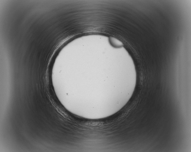 X0000103320884200810060952