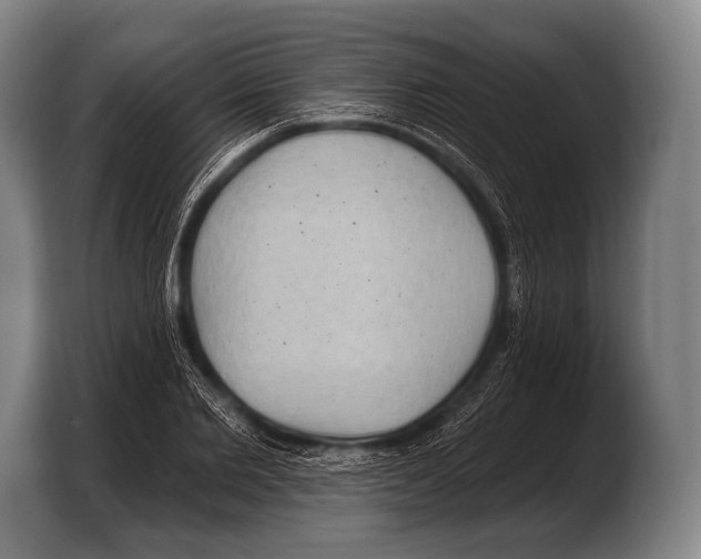 X0000103320885200810060952
