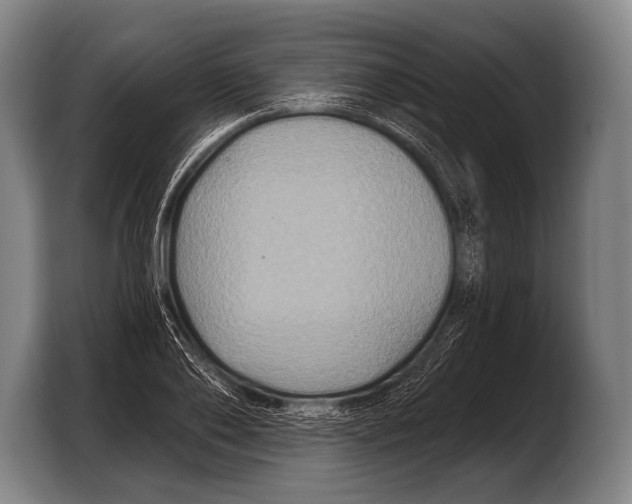 X0000103320886200810060952