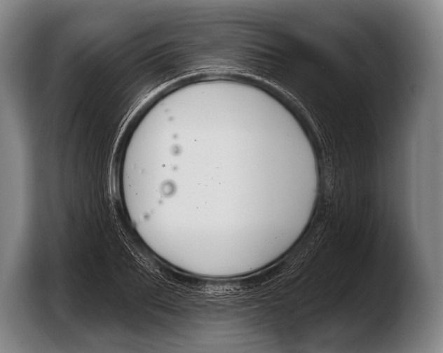 X0000103320887200810060952