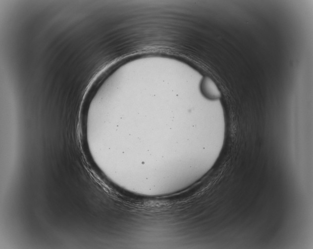 X0000103320888200810060952