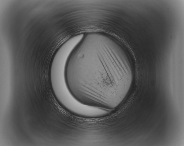 X0000103320889200810060952