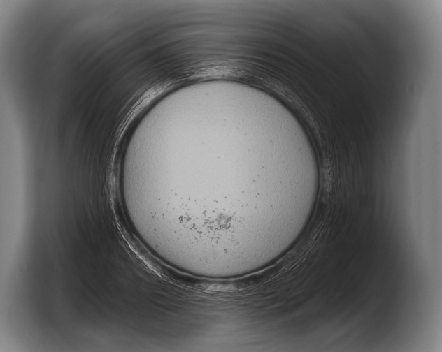X0000103320890200810060952