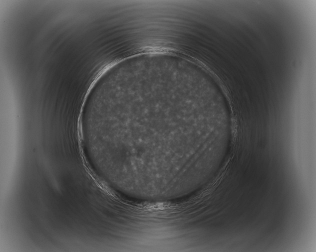 X0000103320891200810060952